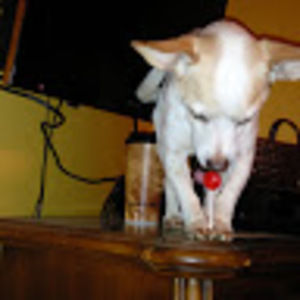 Meet your Posher, Vicky